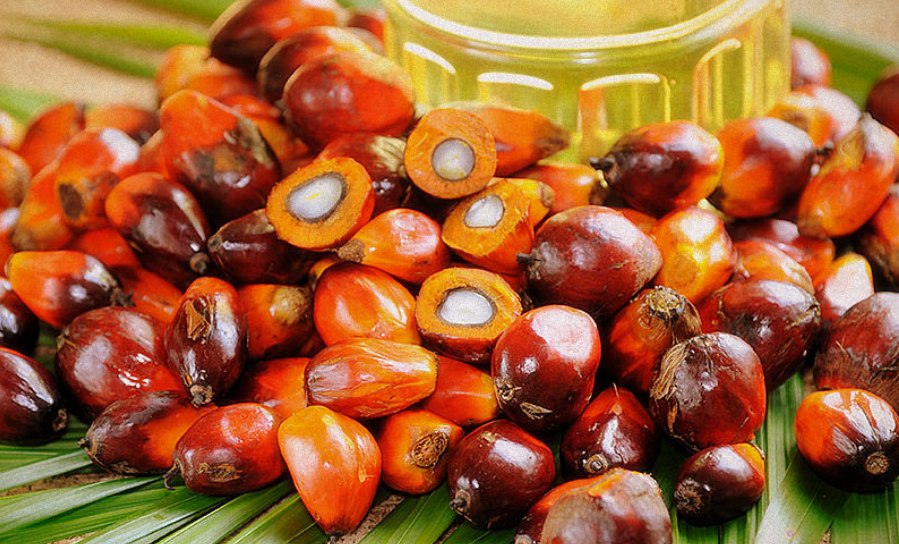 Palm Oil