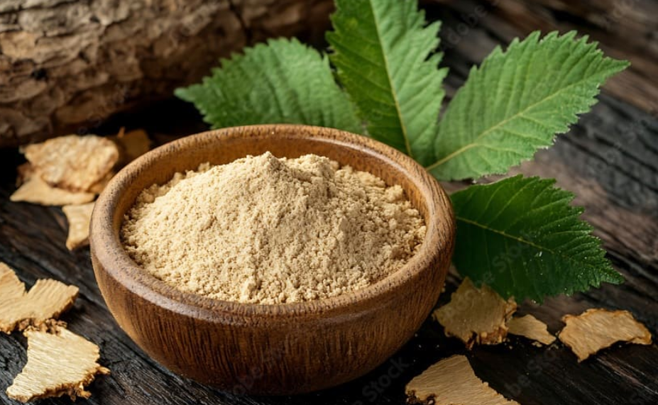 Slippery Elm