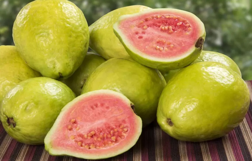 Benefits of Eating Guayaba