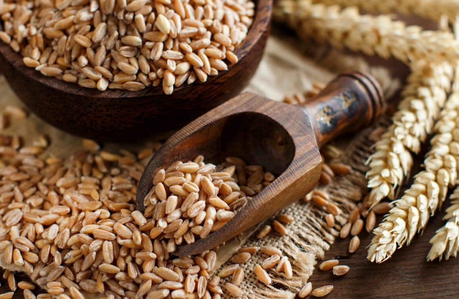 Farro